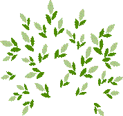 leaves_3.png