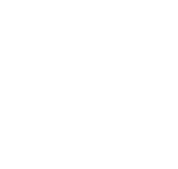 white_leaves_2.png