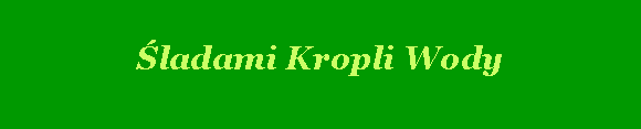 Pole tekstowe: ladami Kropli Wody