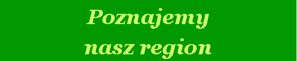 Pole tekstowe: Poznajemy nasz region