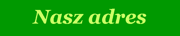 Pole tekstowe: Nasz adres