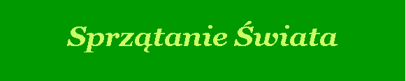 Pole tekstowe: Sprztanie wiata